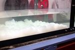 The simulated turbidity current nears the end of the flume tank