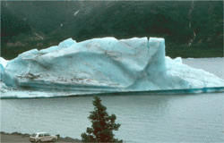 Iceberg
