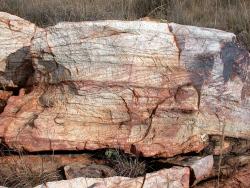 Overturned Cross-bedding