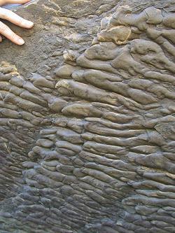 Sole marks