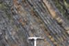Marli Miller Turbidites