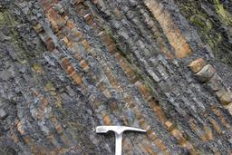 Marli Miller Turbidites