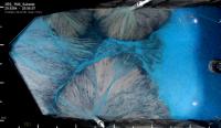 Multiple interacting alluvial fans in the XES Basin