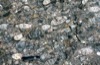 Conglomerate