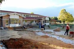 Japanese Garden Service Learning Project