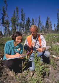 Field sampling