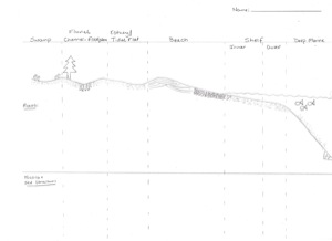 Depositional Environment profile