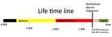 Life timeline image