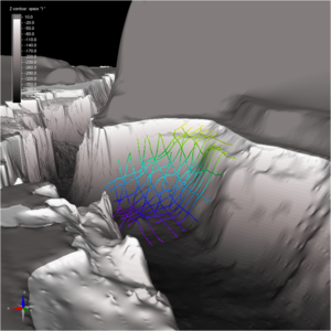 seismic lines