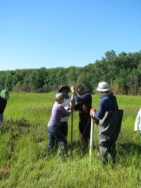 Students driving a Livingstone corer into Sundew bog, Allegan County.