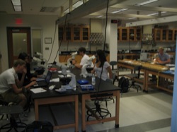 Students using smear slides to describe cores in the laboratory