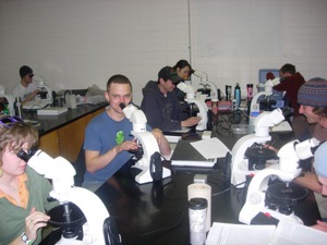 Student at microscopes