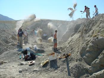 Wyoming dinosaur project