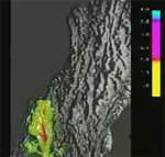 Picture of 1906 earthquake animation from Lawrence Livermore Nat. Lab.