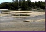 thumbnail of sediment_deposition_movie