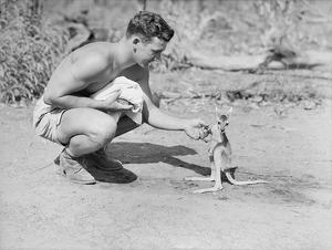 Soldier and Joey
