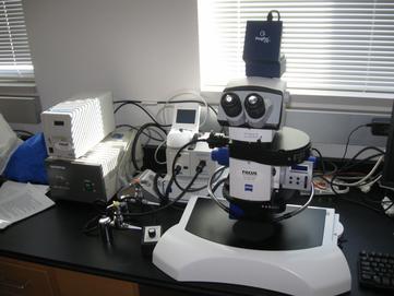 Zeiss Stereodiscovery V12
