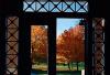 View out the door of Laird Hall, Carleton College