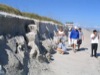 UF field trip