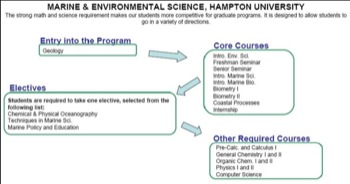 Curriculum Flow Chart Hampton
