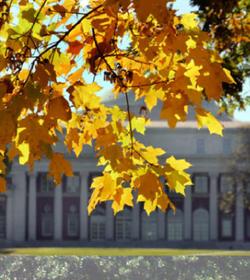 Picture of Vanderbilt University campus