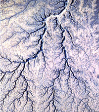 dendritic drainage