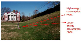 energy demand of hill walking
