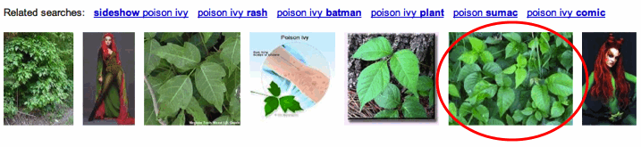 Google image search for "poison ivy"