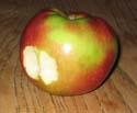 photo of apple with bite missing