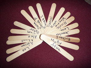 popsicle stick with names