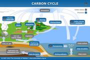  Carbon Cycle