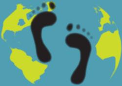 Carbon Footprint