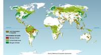 Deforestation Hot Spots