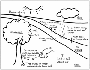Diagram of GLOBE local study site