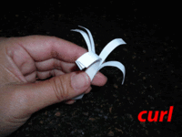 curl the strips outward