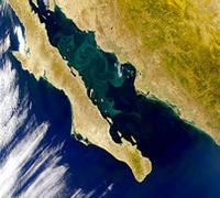 Baja California and Gulf of California