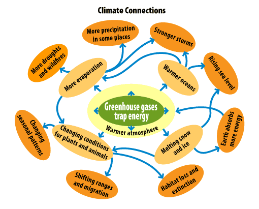 climate change relationship web