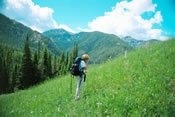 Field work in Montana