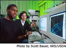 Researchers at computer