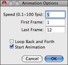 Animation Options