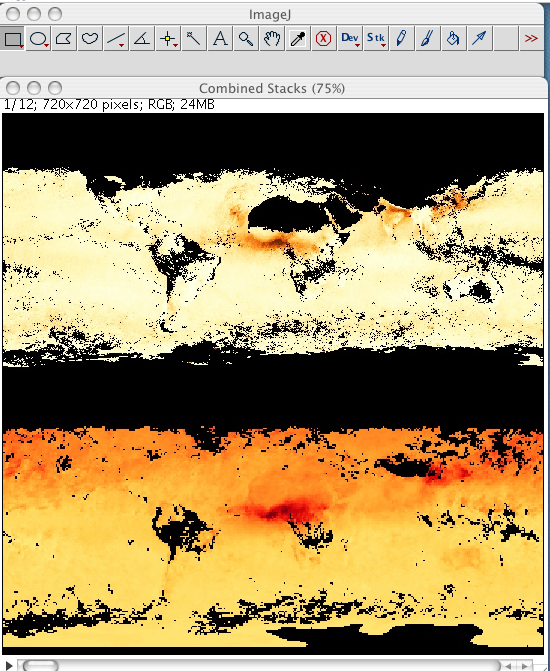 ImageJ Combined window