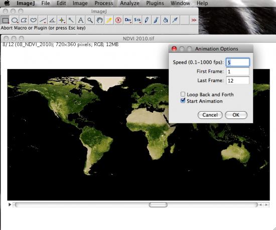 animation option on screen