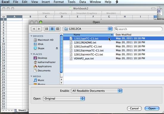 Open Excel