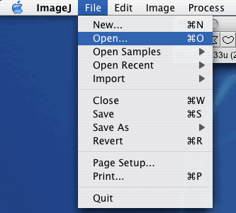This image shows the File Open menu item of Image J.