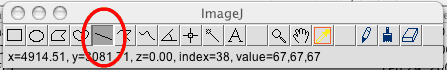 This image shows the ImageJ toolbar with the Straight Line Selections option circled.