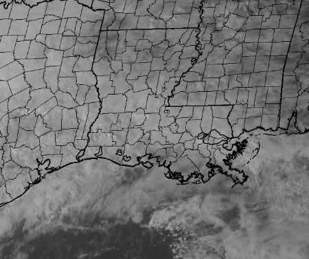 This is a zoomed in image of the Louisiana area which shows county lines.