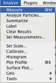 Measure