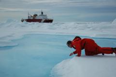 A melt pond on sea ice
