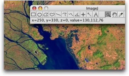 Cursor placed at x250 y330