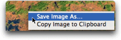Selecting the Save Image As... option